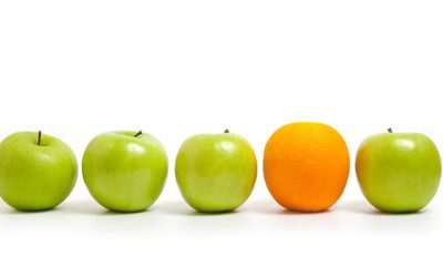A Tale of Two Markets: A 6-Month Update
