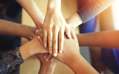 What Should You Look for In Your Real Estate Team?
