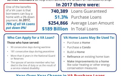 VA Home Loans by the Numbers [INFOGRAPHIC]