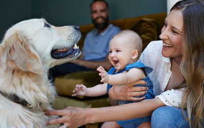 What Makes a House a Home For You?