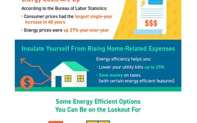 How an Energy Efficient Home Can Be a Bright Idea [INFOGRAPHIC]